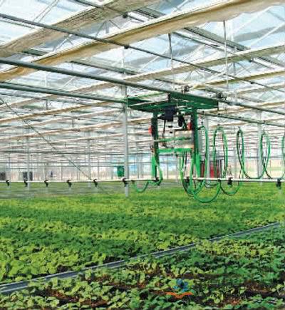 设施农业市场现状深度分析 谷物种植的产业新机遇