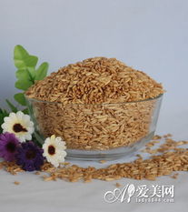 秋季养生正当时 八种谷物食品，吃出健康与美丽