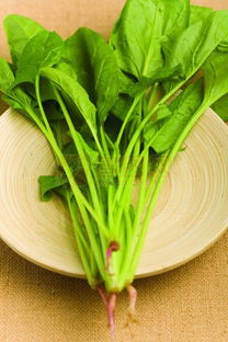 地球上最好的十种儿童食物 全麦食品、谷物与谷物种植